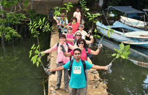 sri-lanka-sea-turtle-rescue-and-rehabilitation-eco-4