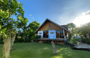 thiland-elephants-and-community-building-for-teenagers-acc29