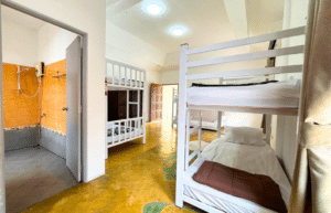 thiland-elephants-and-community-building-for-teenagers-acc30