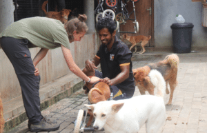 sri-lanka-dog-care-and-veterinary-assistance-new8