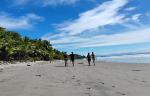 costa-rica-montezuma-sea-turtle-volunteer-program4