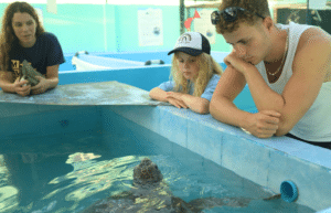 maldives-family-friendly-sea-turtle-conservation-&-eco-tour-14
