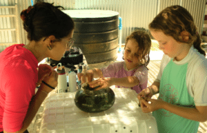 maldives-family-friendly-sea-turtle-conservation-&-eco-tour-18