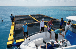 maldives-family-friendly-sea-turtle-conservation-eco-tour-19