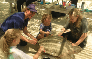 maldives-family-friendly-sea-turtle-conservation-&-eco-tour-2