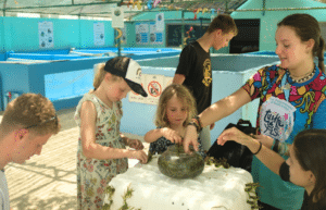 maldives-family-friendly-sea-turtle-conservation-&-eco-tour-7