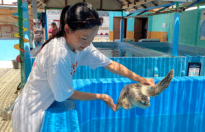 maldives-family-friendly-sea-turtle-conservation-eco-tour-new-7