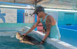 maldives-family-friendly-sea-turtle-conservation-eco-tour-new-8