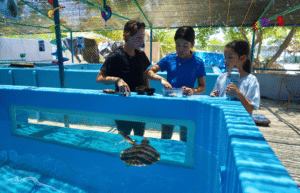 maldives-family-friendly-sea-turtle-conservation-eco-tour-new-9