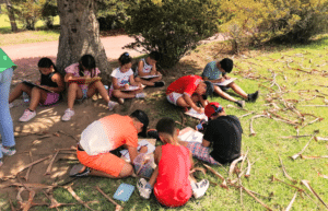 portugal-azores-social-impact-&-eco-adventure-for-teenagers-17