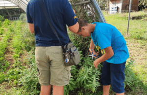 portugal-azores-social-impact-&-eco-adventure-for-teenagers-3