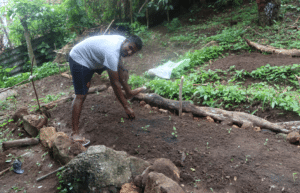 sri-lanka-environmental-conservation-program2