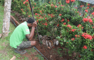 sri-lanka-environmental-conservation-program30