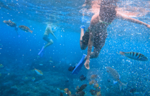 bali-sea-turtle-community-program-for-teenagers-new-2025-13