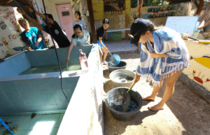 bali-sea-turtle-conservation-program-for-teenagers9