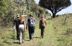 kenya–climate-change-&-wildlife-for-teenagers-13