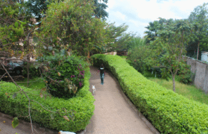 kenya–climate-change-&-wildlife-for-teenagers-19