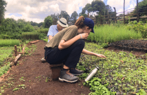 kenya–climate-change-&-wildlife-for-teenagers-24