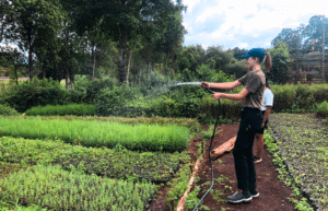 kenya–climate-change-&-wildlife-for-teenagers-7