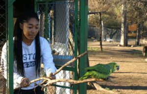 argentina-puma-sanctuary-wildlife-reserve7