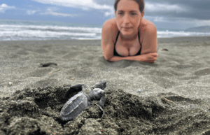 costa-rica-sea-turtle-protection-eco-oasis1