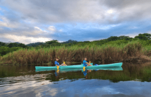 costa-rica-sea-turtle-protection-eco-oasis10