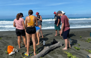 costa-rica-sea-turtle-protection-eco-oasis13