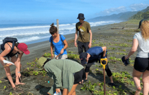 costa-rica-sea-turtle-protection-eco-oasis15