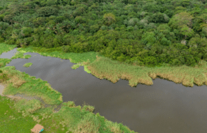 costa-rica-sea-turtle-protection-eco-oasis36