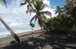 costa-rica-sea-turtle-protection-eco-oasis9