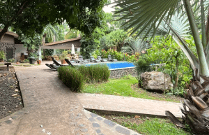 cost-rica-pre-vet-sloth-wildlife-rescue-center-10