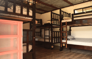 cost-rica-pre-vet-sloth-wildlife-rescue-center-2