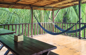 sea-turtle-volunteering-&-adventure-tour-for-teenagers-12