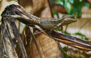 sea-turtle-volunteering-&-adventure-tour-for-teenagers-19