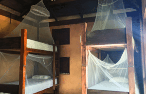 sea-turtle-volunteering-&-adventure-tour-for-teenagers-3