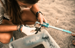 sea-turtle-volunteering-&-adventure-tour-for-teenagers-33