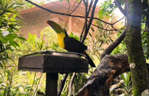 sea-turtle-volunteering-&-adventure-tour-for-teenagers-34