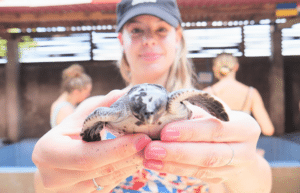 indinesia-lombok-island-sea-turtle-conservation-1