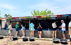 indinesia-lombok-island-sea-turtle-conservation-19
