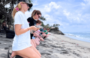indinesia-lombok-island-sea-turtle-conservation-25