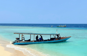 indinesia-lombok-island-sea-turtle-conservation-28