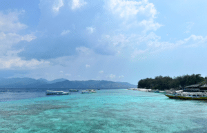 indinesia-lombok-island-sea-turtle-conservation-29