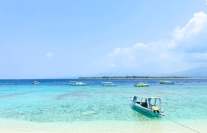 indinesia-lombok-island-sea-turtle-conservation-31