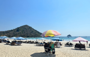 indinesia-lombok-island-sea-turtle-conservation-36