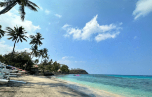 indinesia-lombok-island-sea-turtle-conservation-39