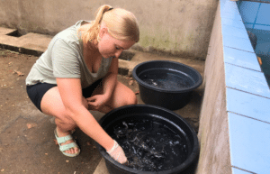 indinesia-lombok-island-sea-turtle-conservation-4