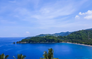 indinesia-lombok-island-sea-turtle-conservation-42