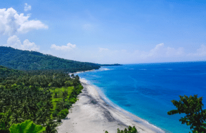 indinesia-lombok-island-sea-turtle-conservation-43