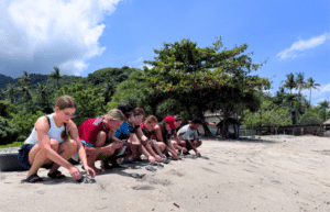 indinesia-lombok-island-sea-turtle-conservation-6
