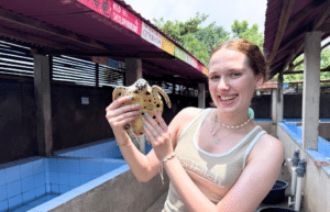 indinesia-lombok-island-sea-turtle-conservation-8